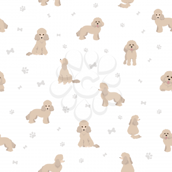 Toy poodle seamless pattern. Different poses, coat colors set.  Vector illustration