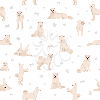 Akita Inu all colours seamless pattern. Different coat colors set. Vector illustration