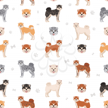 Akita Inu all colours seamless pattern. Different coat colors set. Vector illustration