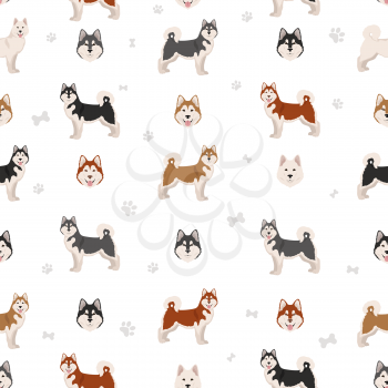 Alaskan malamute all colours seamless pattern. Different coat colors and poses set.  Vector illustration