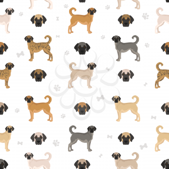 Anatolian shepherd all colours seamless pattern. Different coat colors and poses set.  Vector illustration