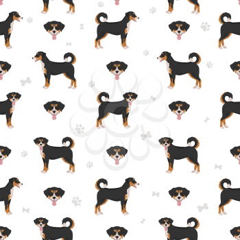 Appenzeller sennenhund all colours seamless pattern. Different coat colors and poses set.  Vector illustration