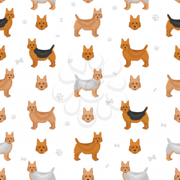 Australian terrier all colours seamless pattern. Different coat colors and poses set.  Vector illustration
