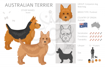 Australian terrier all colours clipart. Different coat colors and poses set.  Vector illustration