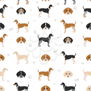 American englisn coonhound all colours seamless pattern. Different coat colors set.  Vector illustration