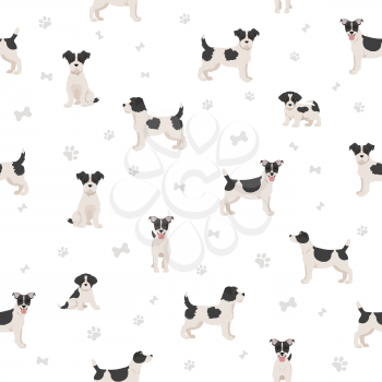Jack Russel terrier in different poses and coat colors seamless pattern. Adult dogs and puppy set.  Vector illustration