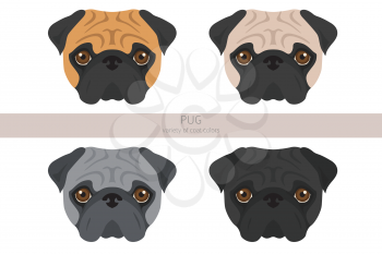 Pug clipart. Different poses, coat colors set.  Vector illustration