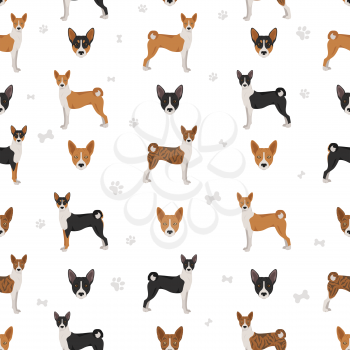 Basenji all colours seamless pattern. Different coat colors and poses set.  Vector illustration