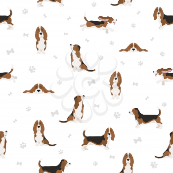 Basset hound seamess pattern. Different coat colors and poses set.  Vector illustration