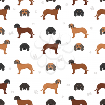Bavarian mountain scent hound seamless  pattern. Different coat colors and poses set.  Vector illustration