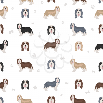 Bearded collie seamless pattern. Different coat colors and poses set.  Vector illustration