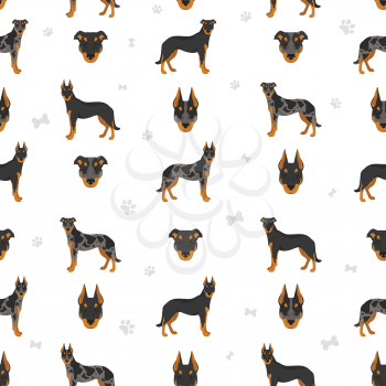 Beauceron seamless pattern. Different coat colors and poses set.  Vector illustration