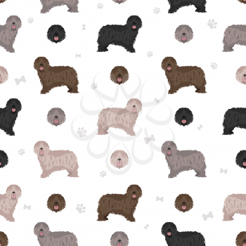 Bergamasco shepherd seamless pattern. Different coat colors and poses set.  Vector illustration