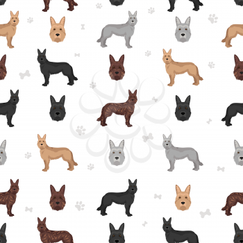 Berger picard seamless pattern. Different coat colors and poses set.  Vector illustration