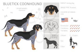 Bluetick coonhound clipart. Different coat colors and poses set.  Vector illustration