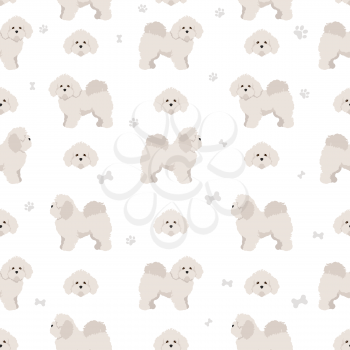 Bolognese dog seamless pattern. Different coat colors and poses set.  Vector illustration
