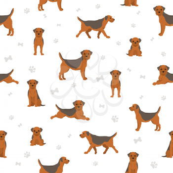 Border terrier seamless pattern. Different coat colors and poses set.  Vector illustration