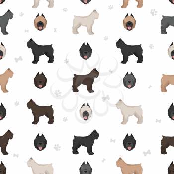 Bouvier des Flandres seamless pattern. Different coat colors and poses set.  Vector illustration
