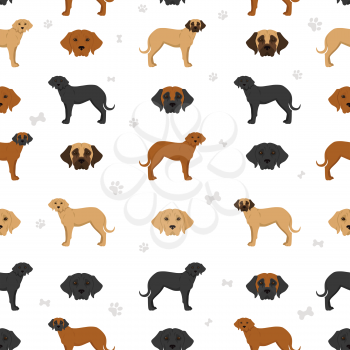 Broholmer seamless pattern. Different coat colors and poses set.  Vector illustration