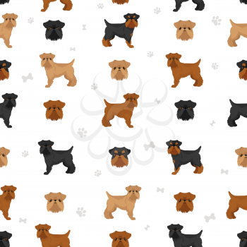 Brussels griffon seamless pattern. Different coat colors and poses set.  Vector illustration