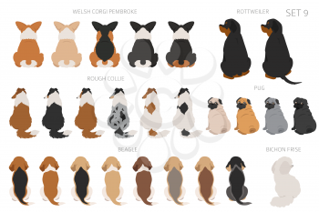 Sitting dogs backside clipart, rear view. Diifferent coat colors variety. Pet graphic design for dog lovers. Vector illustration