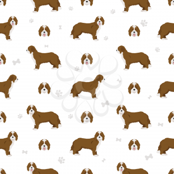 Bernedoodle mix breed seamless pattern. Different coat colors and poses set.  Vector illustration