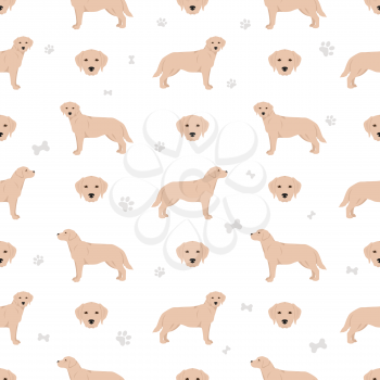 Labrador retriever dogs in different poses and coat colors seamless pattern. Vector illustration