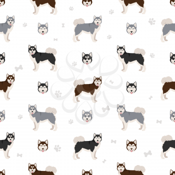 Canadian Eskimo dog seamless pattern. Different poses, coat colors set.  Vector illustration