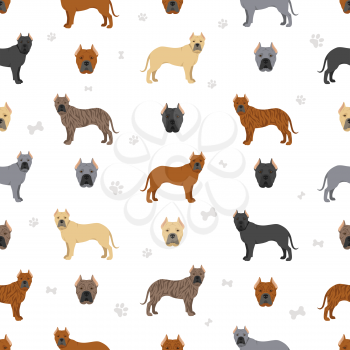 Canary mastiff seamless pattern. Different poses, coat colors set.  Vector illustration