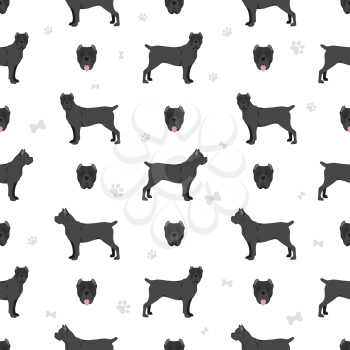 Cane corso seamless pattern. Different poses, coat colors set.  Vector illustration