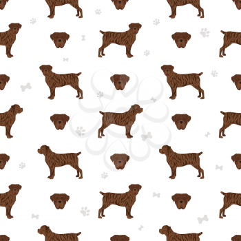 Cane corso seamless pattern. Different poses, coat colors set.  Vector illustration