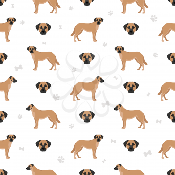 Chinook dog seamless pattern. Different poses, coat colors set.  Vector illustration