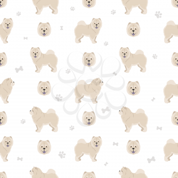Chow chow longhaired variety seamless pattern. Different poses, coat colors set.  Vector illustration