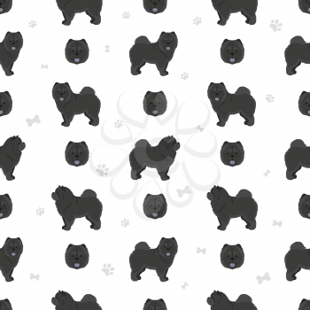 Chow chow longhaired variety seamless pattern. Different poses, coat colors set.  Vector illustration