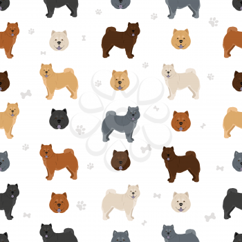 Chow chow shorthaired variety seamless pattern. Different poses, coat colors set.  Vector illustration