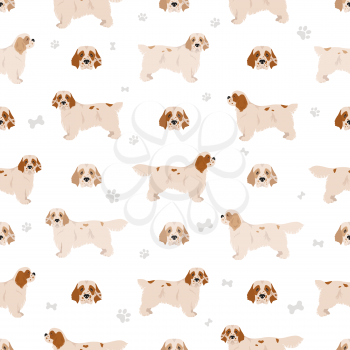 Clumber spaniel seamless pattern. Different poses, coat colors set.  Vector illustration
