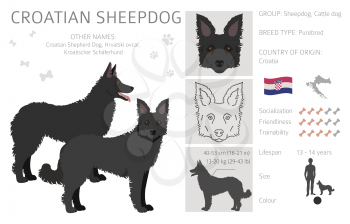 Croatian sheepdog clipart. Different poses, coat colors set.  Vector illustration
