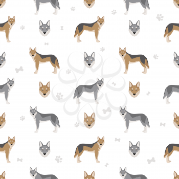 Czechoslovakian wolfdog seamless pattern. Different poses, coat colors set.  Vector illustration