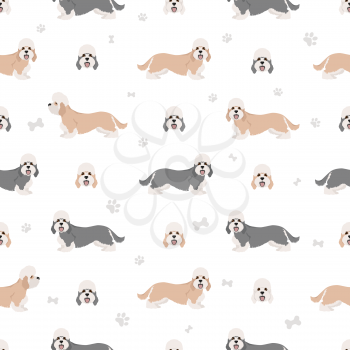 Dandie dinmont terrier seamless pattern. Different poses, coat colors set.  Vector illustration