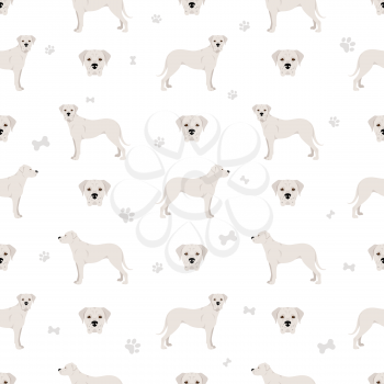 Dogo Argentino seamless pattern. Different poses, coat colors set.  Vector illustration
