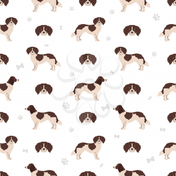 Dutch partridge dog seamless pattern.  Different poses, coat colors set.  Vector illustration