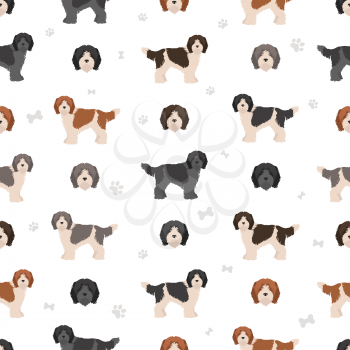 Dutch sheepdog Schapendoes seamless pattern. Different poses, coat colors set.  Vector illustration