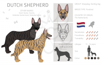 Dutch shepherd clipart. Different poses, coat colors set.  Vector illustration