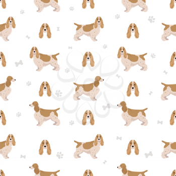 English cocker spaniel seamless pattern. Different poses, coat colors set.  Vector illustration