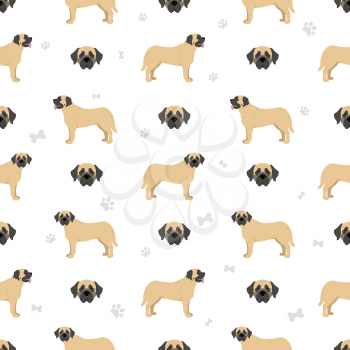 English mastiff seamless pattern. Different poses, coat colors set.  Vector illustration