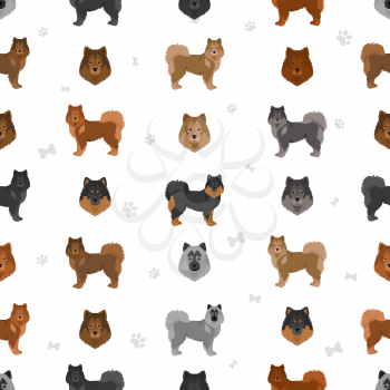 Eurasier dog seamless pattern. Different poses, coat colors set.  Vector illustration