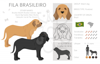 Fila Brasileiro clipart. Different poses, coat colors set.  Vector illustration