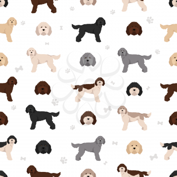 French water dog seamless pattern. Different poses, coat colors set.  Vector illustration