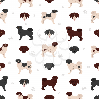 Frisian water dog seamless pattern. Different poses, coat colors set.  Vector illustration