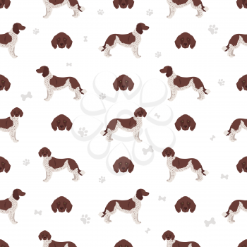 German longhaired pointer seamless pattern. Different poses, coat colors set.  Vector illustration